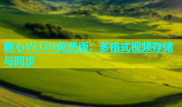 糖心VLOG免费版：多格式视频存储与同步