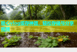 糖心vlog缓存神器，轻松存储与分享视频