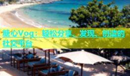 糖心Vog：轻松分享、发现、创造的社交平台
