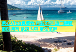 糖心Vlog免费看 精彩不停 热门视频即刻拥有 诱惑内容 尽在掌握