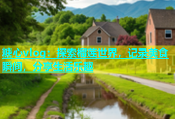 糖心vlog：探索榴莲世界，记录美食瞬间，分享生活乐趣
