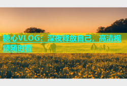 糖心VLOG：深夜释放自己，高清视频随时看