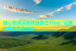 糖心视频深夜释放自己Vlog：记录夜晚的自由时刻