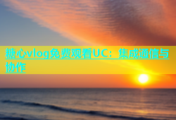 糖心vlog免费观看UC：集成通信与协作
