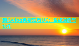糖心vlog免费观看UC：集成通信与协作