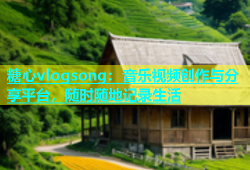 糖心vlogsong：音乐视频创作与分享平台，随时随地记录生活