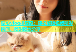 糖心vlog提取码：轻松解锁视频精彩瞬间，随时随地分享