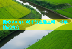 糖心Volg：双平台直播互动，尽享精彩内容