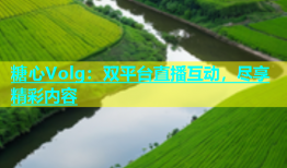 糖心Volg：双平台直播互动，尽享精彩内容