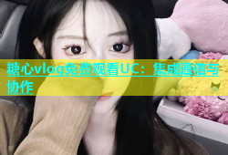 糖心vlog免费观看UC：集成通信与协作