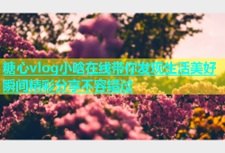 糖心vlog小晗在线带你发现生活美好瞬间精彩分享不容错过