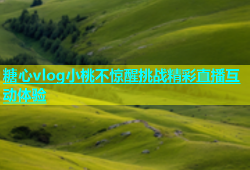 糖心vlog小桃不惊醒挑战精彩直播互动体验