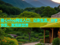 糖心vlog网址入口：记录生活，分享快乐，发现新世界