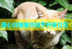 糖心纠缠番外知乎开车社区