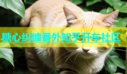 糖心纠缠番外知乎开车社区
