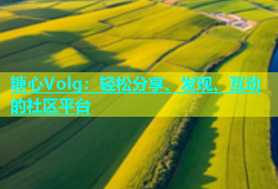 糖心Volg：轻松分享、发现、互动的社区平台