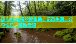 糖心vlog粉丝聚集地：记录生活，分享快乐，互动无限