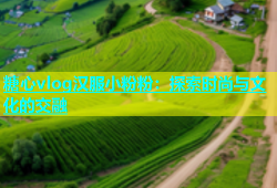 糖心vlog汉服小粉粉：探索时尚与文化的交融