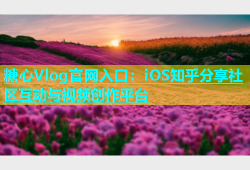 糖心Vlog官网入口：iOS知乎分享社区互动与视频创作平台