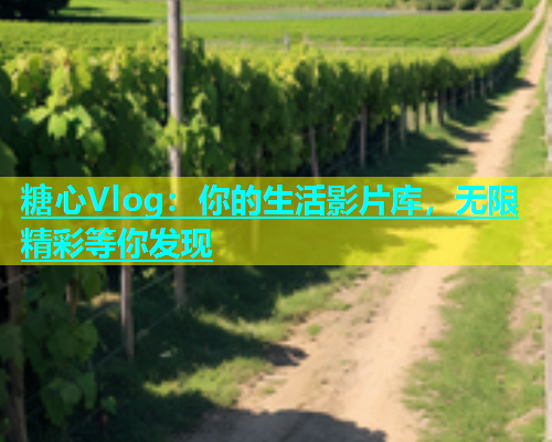 糖心Vlog：你的生活影片库，无限精彩等你发现