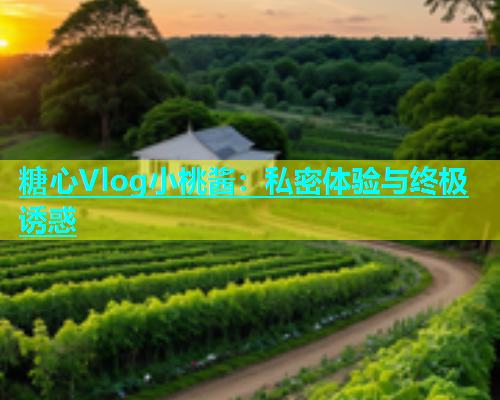糖心Vlog小桃酱：私密体验与终极诱惑