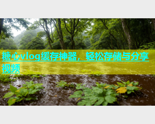 糖心vlog缓存神器，轻松存储与分享视频