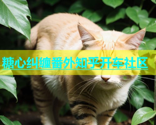 糖心纠缠番外知乎开车社区