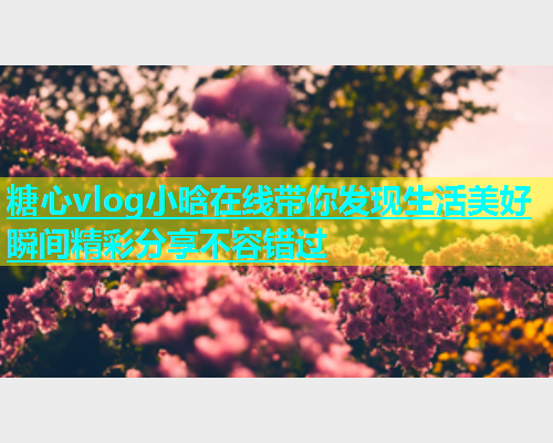糖心vlog小晗在线带你发现生活美好瞬间精彩分享不容错过