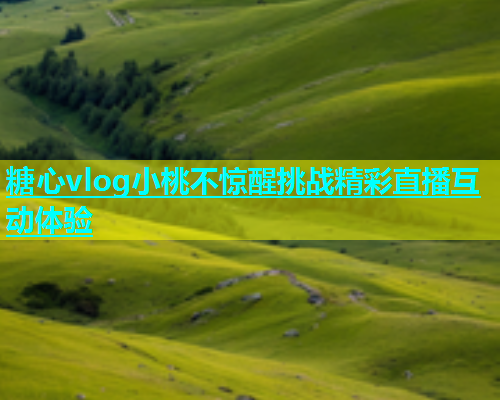 糖心vlog小桃不惊醒挑战精彩直播互动体验